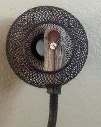 Bird Caged