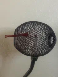 Bird Caged