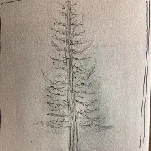Sketches